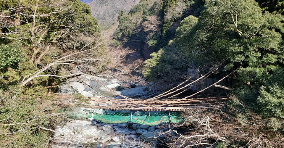 徳島県 祖谷のかずら橋の架け替え工事が行われています 太田由美さんの投稿 まるごと三好観光ポータルメディア