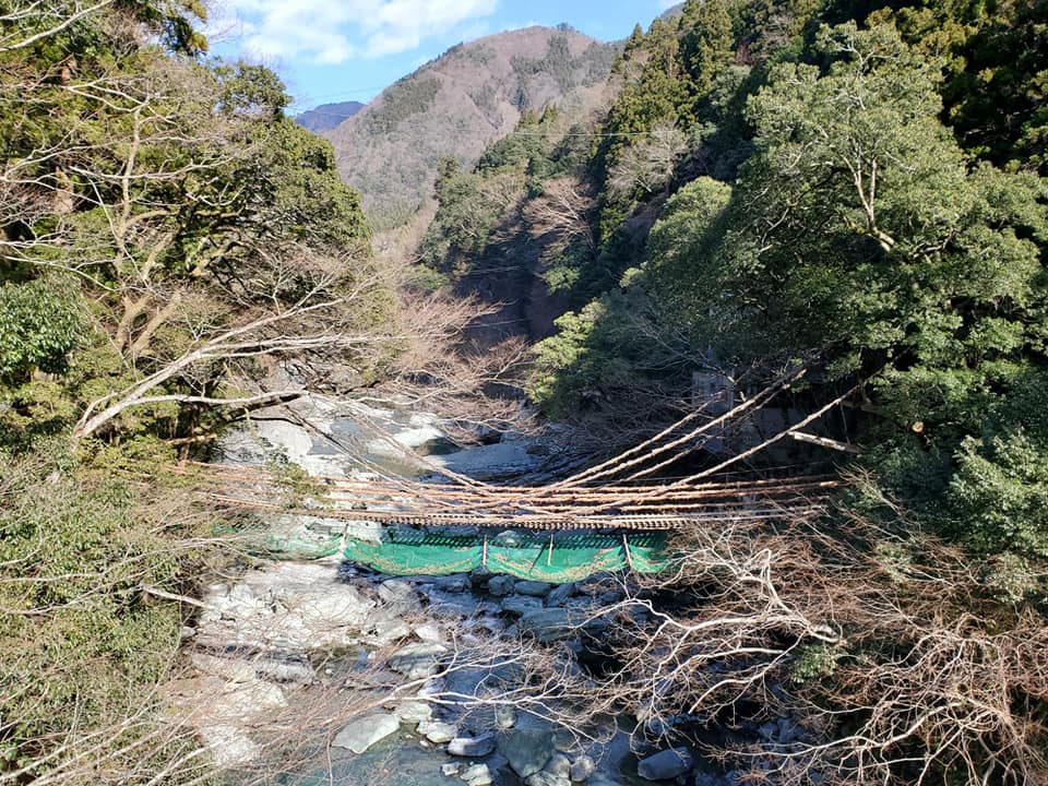 徳島県 祖谷のかずら橋の架け替え工事が行われています 太田由美さんの投稿 まるごと三好観光ポータルメディア