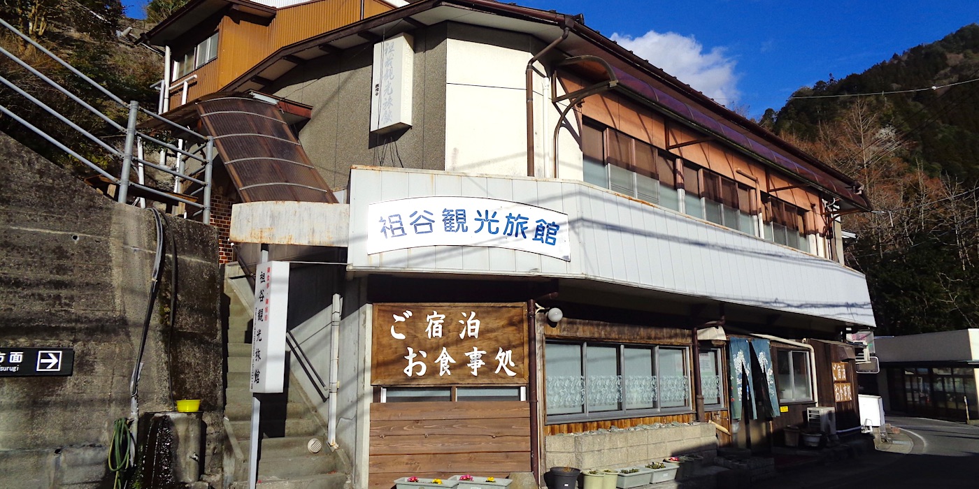 祖谷 観光 旅館